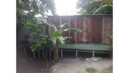 হরিরামপুরে ব্রয়লার দোকানের বর্জ্যে পরিবেশ দূষণ, ক্ষতিগ্রস্ত ব্যবসায়ীরা লিখিত অভিযোগ

