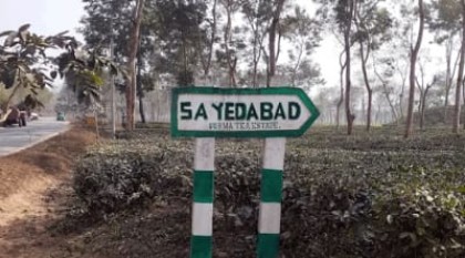 সাতছড়ি উদ্যানে গাছ ফেলে ট্রাক থামিয়ে ডাকাতি