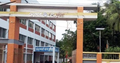 কুষ্টিয়ায় স্বামীর সামনে স্ত্রীকে গণধর্ষন, আটক ৫

