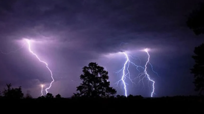 কুষ্টিয়ায় বজ্রপাতে ১১টি মহিষের মৃত্যু