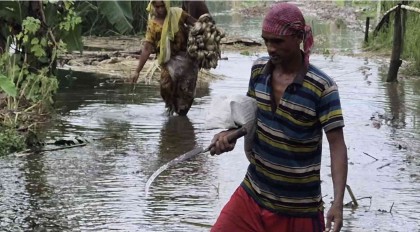 ক্যানালে বাঁধ, বাগাতিপাড়ায় পানিবন্দি ১০ গ্রাম ও তলিয়ে গেছে ২ হাজার একর জমি