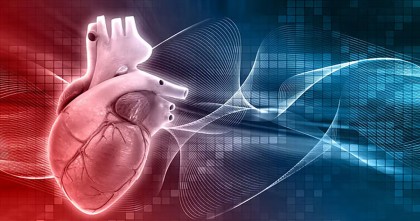 দাম কমলো হার্টের রিংয়ের