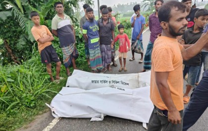 টাঙ্গাইলের পিকআপ ও মোটরসাইকেল সংঘর্ষে নিহত ৩ 

