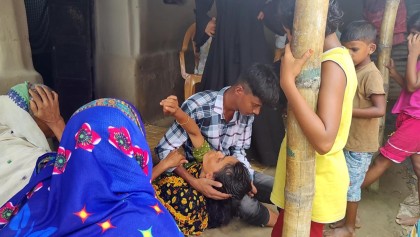 ঠাকুরগাঁওয়ে সাপের কামড়ে দুই সপ্তাহে ৫ জনের মৃত্যু, হাসপাতালগুলোতে এন্টিভেনম নেই