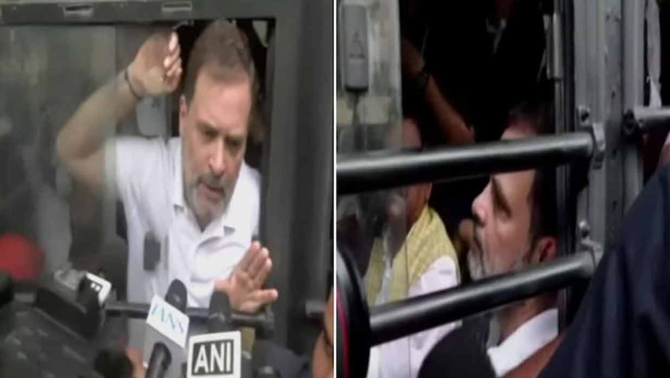 দিল্লিতে বিক্ষোভে রাহুল ও প্রিয়াঙ্কা গান্ধী আটক