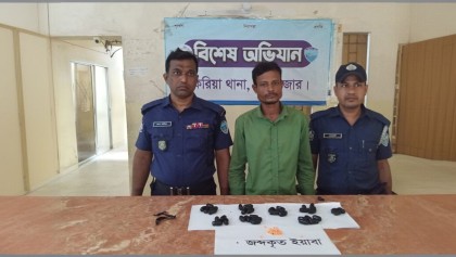 চকরিয়ায় দুই দিনে সাড়ে ৪ হাজার পিস উদ্ধার