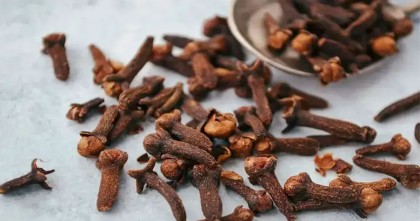 প্রতিদিন একটি লবঙ্গ খেলে শরীরে ঘটে যে পরিবর্তন