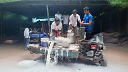 মিল্ক ভিটায় ভেজাল দুধ সরবরাহ: পাবনায় দম্পতির কারাদণ্ড ও জরিমানা

