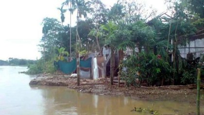 কুশিয়ারার ভাঙনে নবীগঞ্জের ২৫ গ্রাম নদীগর্ভে, গৃহহীন অর্ধশতাধিক পরিবার

