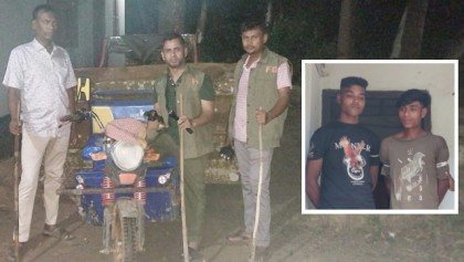 বাঁশখালীতে সংরক্ষিত বনে গাছ কাটার সময় আটক ২
