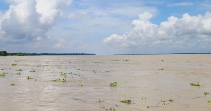 রাজবাড়ীতে বৃদ্ধি পেয়েছে নদ-নদীর পানি