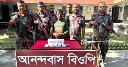 মেহেরপুরে ৫১ হাজার মার্কিন ডলারসহ আটক এক