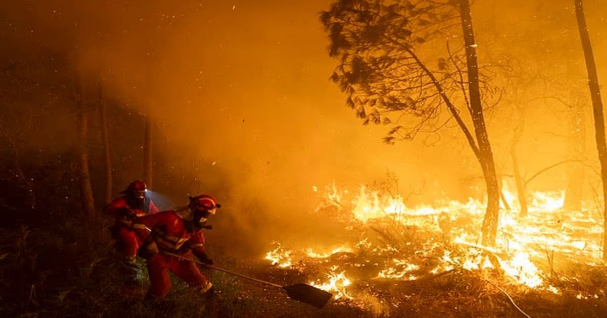 স্পেনে তাপপ্রবাহে ১৬ দিনে ১,১৪৯ জনের মৃত্যু