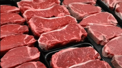 বাংলাদেশে গরুর মাংস রপ্তানি করতে চায় ব্রাজিল