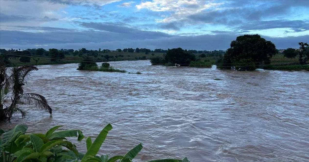 নাইজারে ভয়াবহ বন্যায় নিহত ৪৭