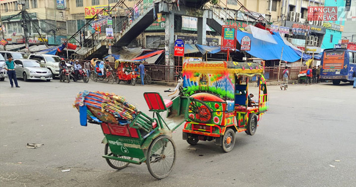 মিরপুরে ট্রাফিক পুলিশের ধারাবাহিক অভিযান: উল্টো পথে চলাচল ঠেকাতে কঠোর ব্যবস্থা
