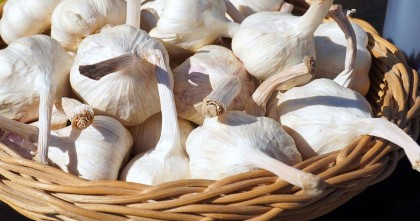 খালি পেটে কাঁচা রসুন খাওয়ার উপকারিতা