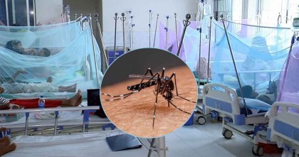 একদিনে ডেঙ্গুতে প্রাণ গেল পাঁচ জনের