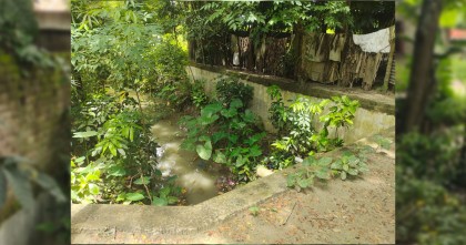 নড়িয়ার দেড় কিলোমিটার কোয়ারাক খাল প্রভাবশালীদের দখলে: জলাবদ্ধতায় ৫০ একর ফসলী জমি