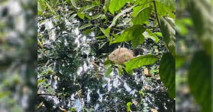 ভৈরবে ডোবা থেকে কাতার প্রবাসী মানিক মিয়ার মরদেহ উদ্ধার