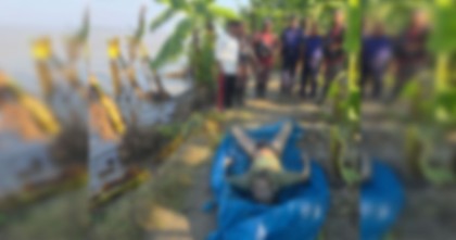পদ্মায় ভেসে উঠল অজ্ঞাতনামা যুবকের মরদেহ