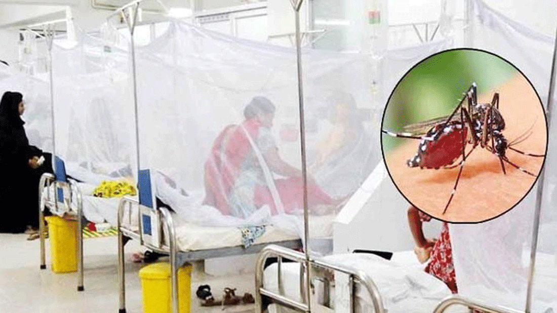সারাদেশে একদিনে ডেঙ্গু আক্রান্ত ৪৩০ 