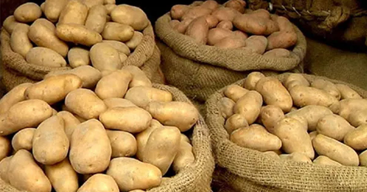 আলুর সর্বনিম্ন দাম বেঁধে দিলো সরকার