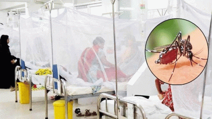 সারাদেশে একদিনে ডেঙ্গু আক্রান্ত ৪৩০ 