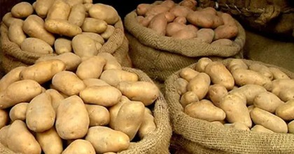 আলুর সর্বনিম্ন দাম বেঁধে দিলো সরকার