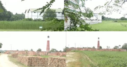 দশ বছরে চুয়াডাঙ্গায় কৃষি জমি কমেছে পাঁচ হাজার হেক্টর