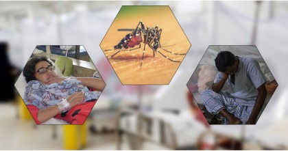 একদিনে ডেঙ্গু আক্রান্ত ১৬৫ জন