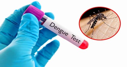ডেঙ্গুতে তিনজনের মৃত্যু, হাসপাতালে ভর্তি ৪৭৩