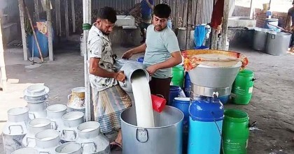 ডেইরি উন্নয়ন বোর্ড গঠন, আলোর মুখ দেখল দীর্ঘদিনের দাবি