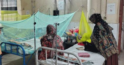 রাজবাড়ীতে ডেঙ্গু বাড়ছে; মশক নিধনে নেই কার্যকর উদ্যোগ
