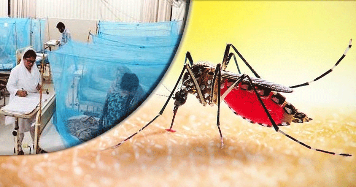 ডেঙ্গুতে আরও ৩ জনের মৃত্যু, নতুন আক্রান্ত ৫৮০