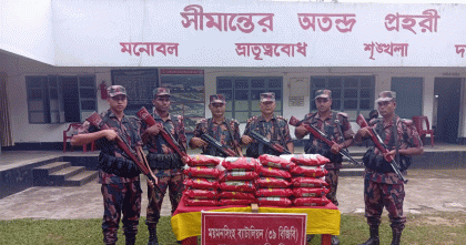 শেরপুর সীমান্তে বিজিবির অভিযানে ভারতীয় মশলা জব্দ