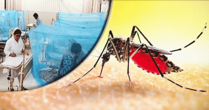 ডেঙ্গুতে আরও ৩ জনের মৃত্যু, নতুন আক্রান্ত ৫৮০