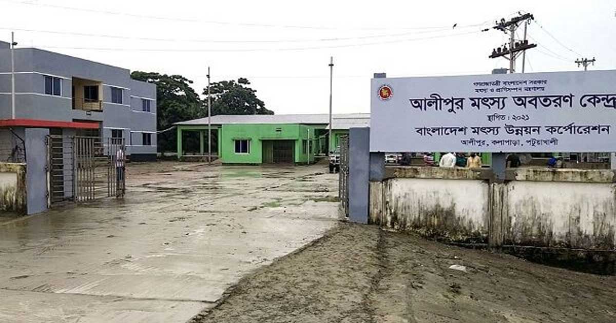 উপকূলের মৎস্য খাতে অব্যবস্থাপনা, তদারকির অভাবে বাড়ছে ফাঁকি