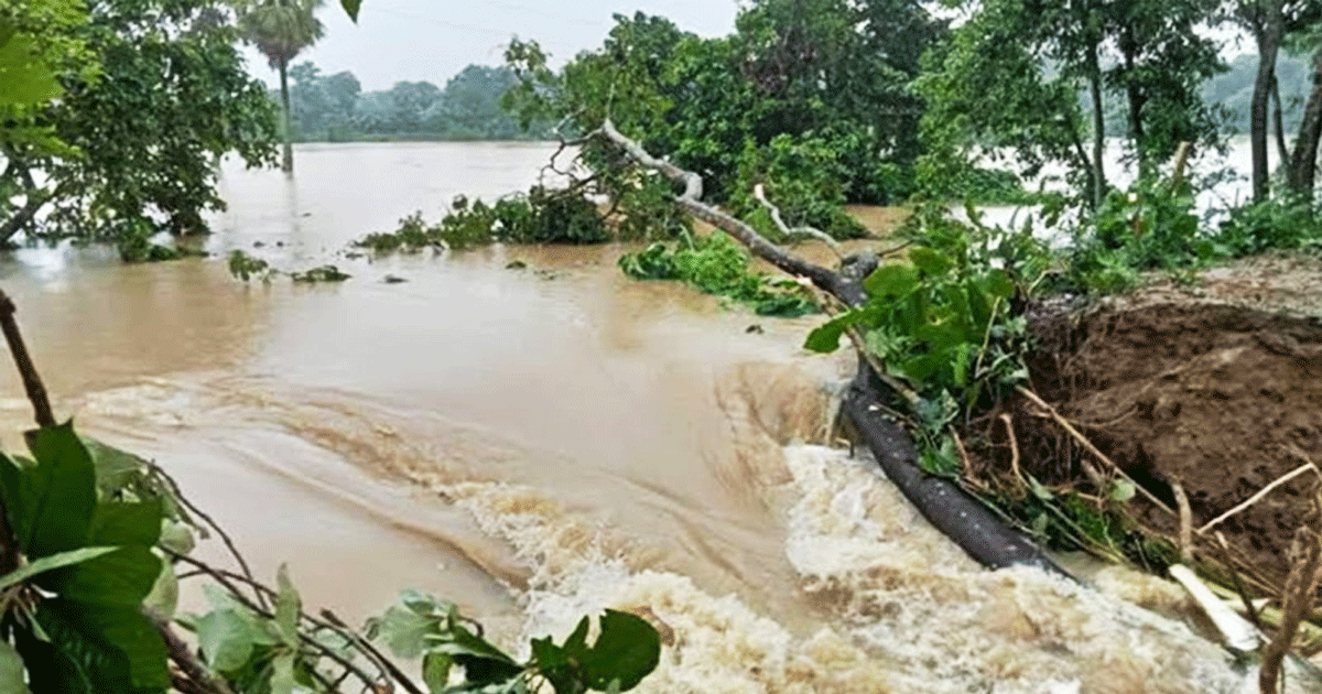 উজানে ভারী বৃষ্টিপাত, চার জেলার নিম্নাঞ্চল প্লাবিত হওয়ার আশঙ্কা
