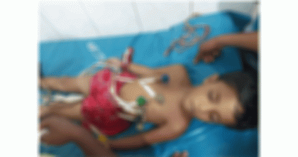 মেহেরপুর সাপের কামড়ে শিশুর মৃত্যু