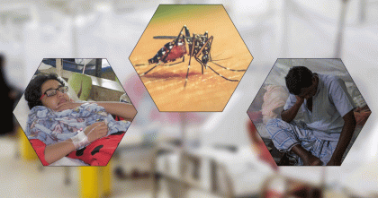 ২৪ ঘণ্টায় ডেঙ্গুতে আরো ছয় জনের মৃত্যু, হাসপাতালে ৬৪৭