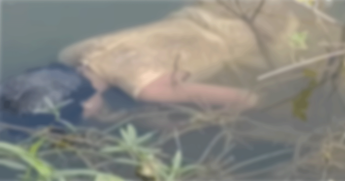 নিখোঁজের এক দিন পরে পুকুরে মিলছে শিশুর মরদেহ