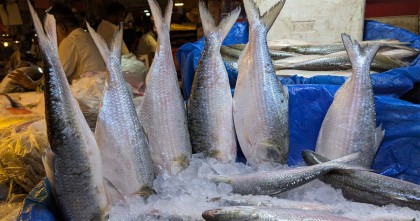 ভারত হয়ে ইলিশ পাচার, রপ্তানি বন্ধ