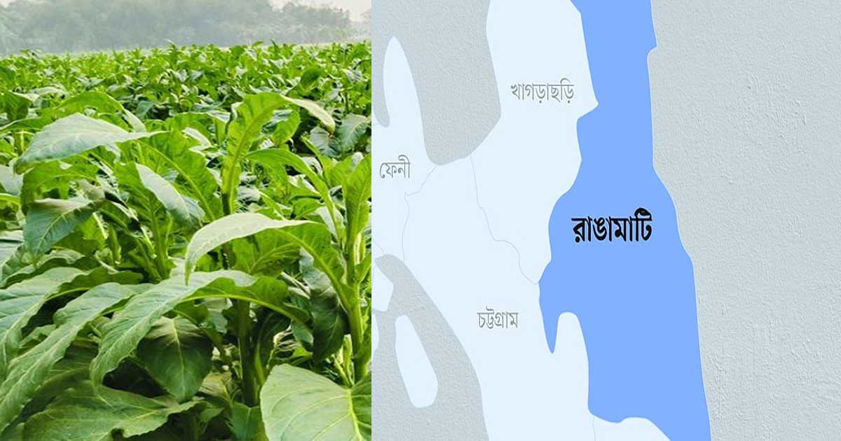 তামাক চাষের বিরুদ্ধে রাঙ্গামাটিতে পার্বত্য ছাত্র ফোরামের বিক্ষোভ