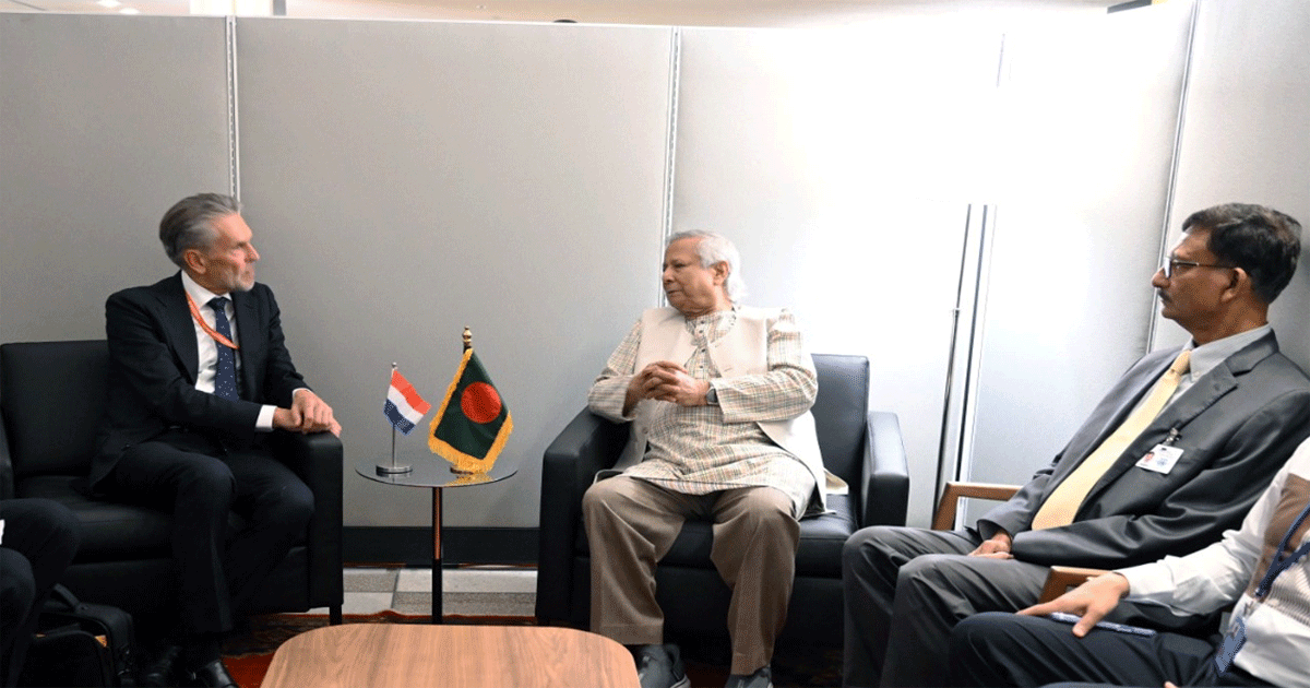 স্বৈরশাসকদের বন্ধুরা বাংলাদেশবিরোধী ভুল তথ্য প্রচারণায় অর্থায়ন করছে 