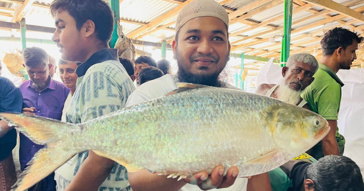 এক ইলিশের দাম ১৪ হাজার টাকা