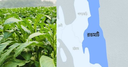 তামাক চাষের বিরুদ্ধে রাঙ্গামাটিতে পার্বত্য ছাত্র ফোরামের বিক্ষোভ