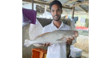 বঙ্গোপসাগরে ধরা পড়লো বিরল কালো পোয়া, বিক্রি ৮০ হাজার টাকায়