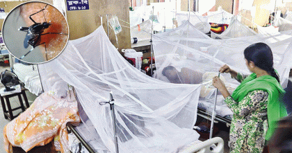 ডেঙ্গুতে একদিনে তিন মৃত্যু, হাসপাতালে ভর্তি ৫৫৬