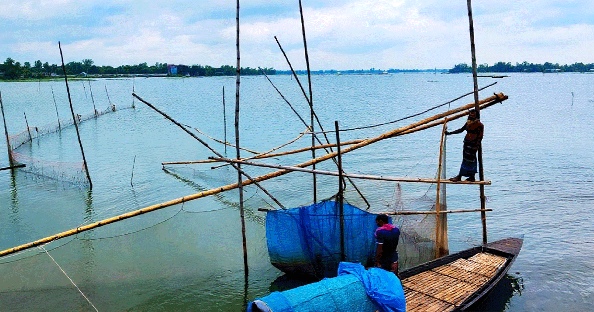 সিরাজগঞ্জে নদী ইজারা নিয়ে বিতর্ক, বিপাকে মৎস্যজীবীরা